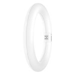 Osram Tube LED T9 Circulaire (EM/Direct 230V) 11W 1200lm - 830 Blanc Chaud | Équivalent 22W