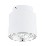Emibig Plafonnier Nano Acier Blanc | Convient pour 1x GU10 (AR111) - Max 12W