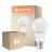 Lot 6x Ledvance Performance LED ampoule B22d Poire Dépolie 8.5W 806lm - 827 Blanc Très Chaud | Équivalent 60W