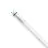 Philips Master Tube LED T8 (EM/Direct 230V) High Output T8 16.7W 3100lm - 865 Lumière Du Jour | 150cm - Équivalent 58W