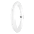 Osram Tube LED T9 Circulaire (EM/Direct 230V) 11W 1200lm - 830 Blanc Chaud | Équivalent 22W