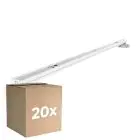 Lot 20x Noxion Réglette Click LED T8 | Convient Pour 2x60cm Tube LED